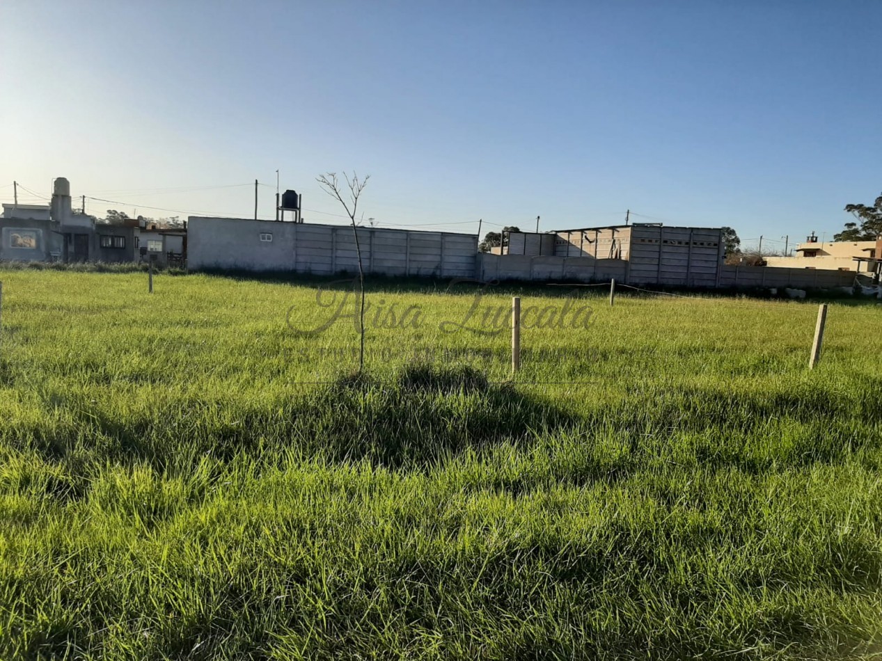 LOTE CAMET NORTE- MAR CHIQUITA-